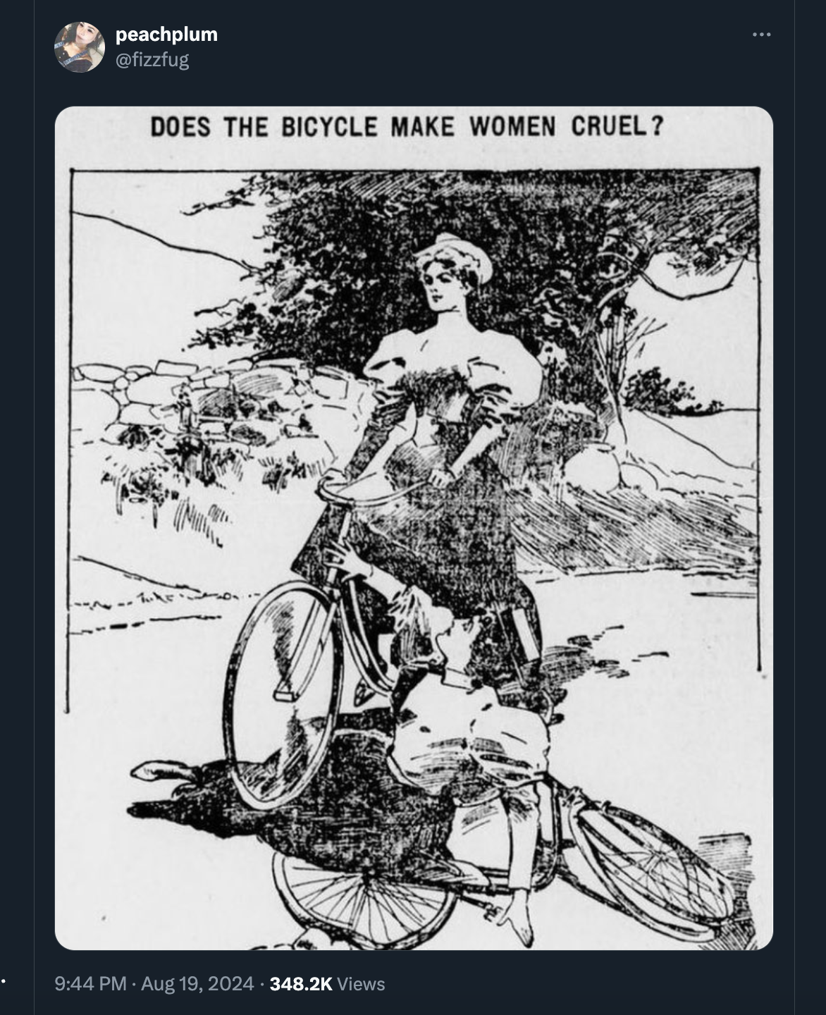 peachplum Does The Bicycle Make Women Cruel? Views